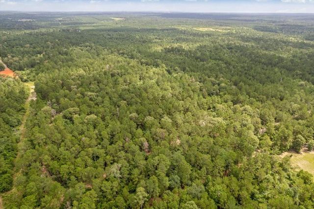 TBD Lot 1 County Road 302, Plantersville, TX 77363