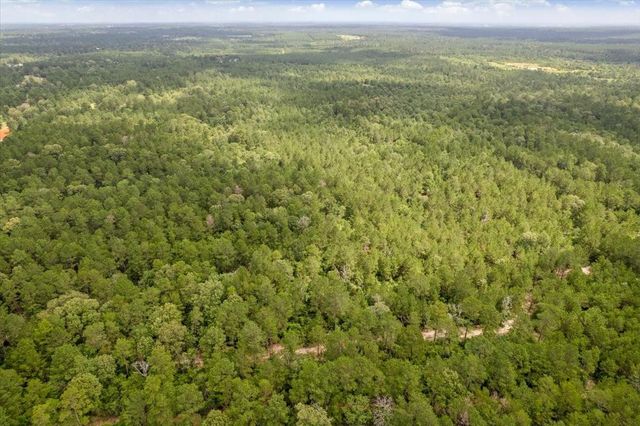 TBD Lot 1 County Road 302, Plantersville, TX 77363