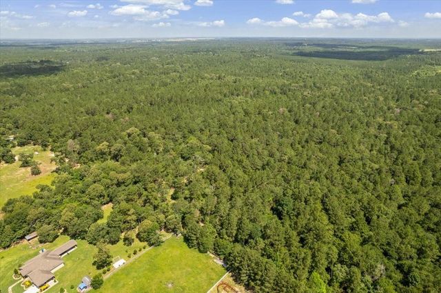 TBD Lot 1 County Road 302, Plantersville, TX 77363