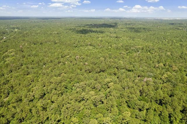 TBD Lot 1 County Road 302, Plantersville, TX 77363