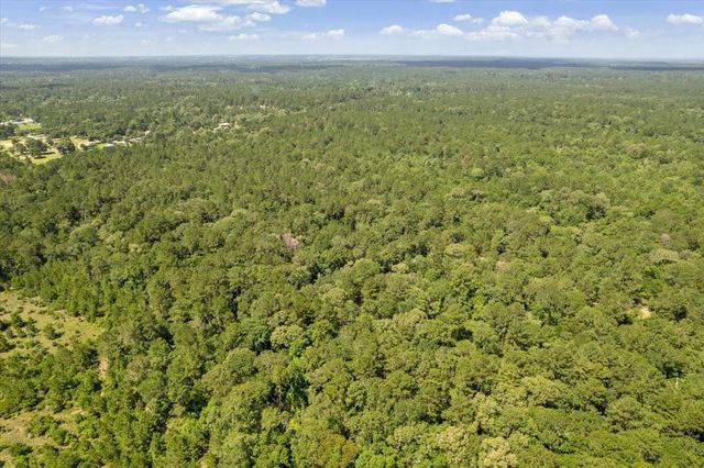 TBD Lot 1 County Road 302, Plantersville, TX 77363