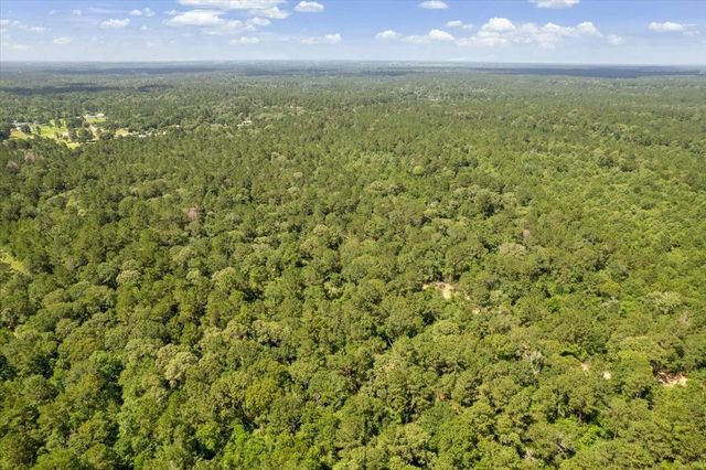 TBD Lot 1 County Road 302, Plantersville, TX 77363