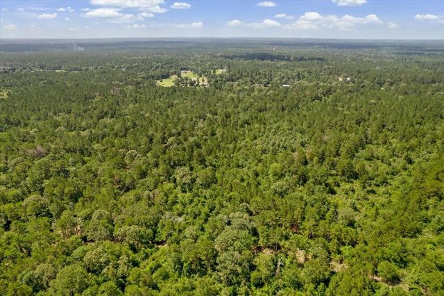 TBD Lot 1 County Road 302, Plantersville, TX 77363