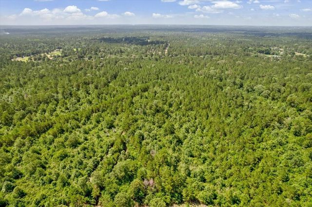 TBD Lot 1 County Road 302, Plantersville, TX 77363