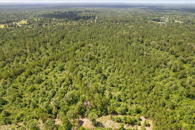 TBD Lot 1 County Road 302, Plantersville, TX 77363