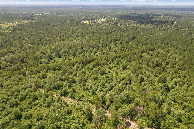 TBD Lot 1 County Road 302, Plantersville, TX 77363