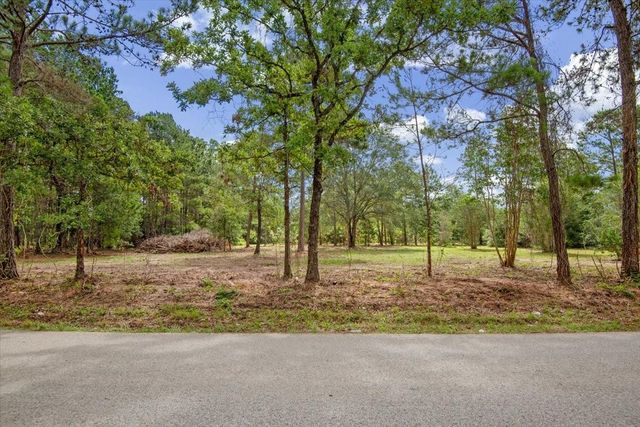TBD Lot 1 County Road 302, Plantersville, TX 77363
