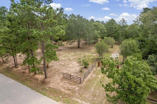 TBD Lot 1 County Road 302, Plantersville, TX 77363