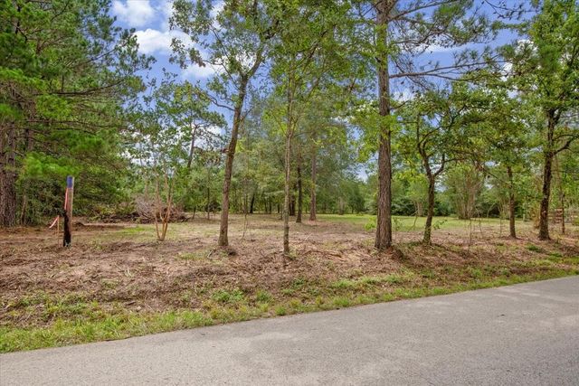 TBD Lot 1 County Road 302, Plantersville, TX 77363