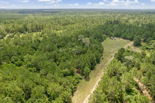 TBD Lot 1 County Road 302, Plantersville, TX 77363