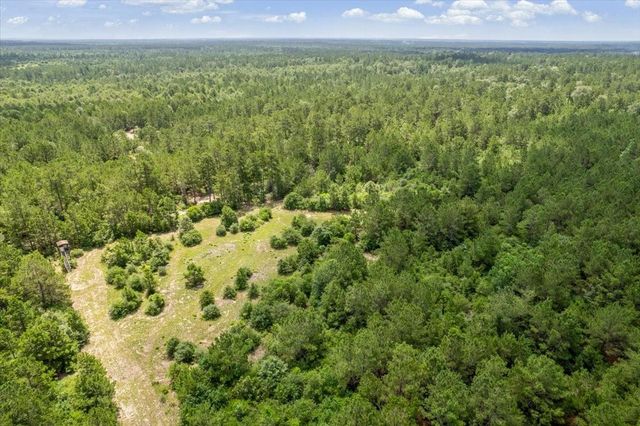 TBD Lot 1 County Road 302, Plantersville, TX 77363