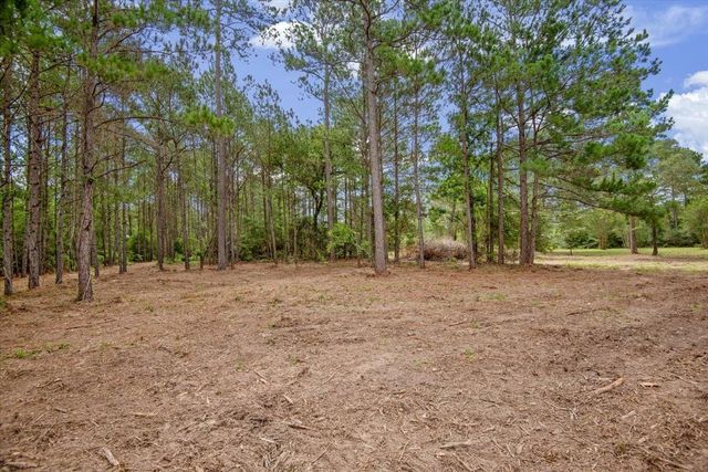 TBD Lot 1 County Road 302, Plantersville, TX 77363