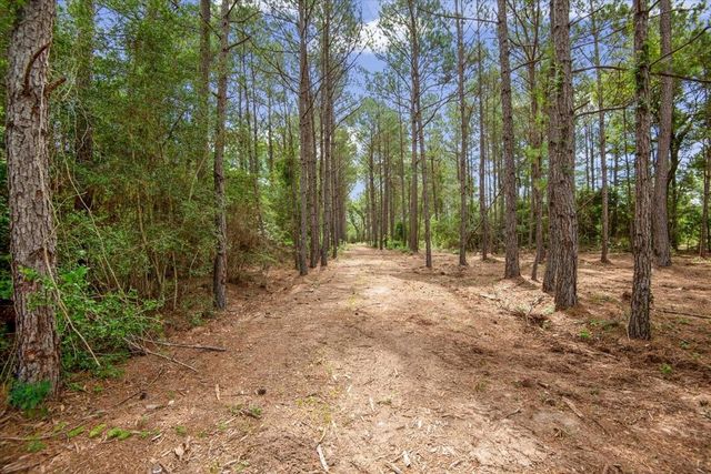 TBD Lot 1 County Road 302, Plantersville, TX 77363