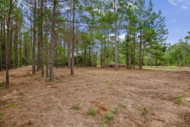 TBD Lot 1 County Road 302, Plantersville, TX 77363
