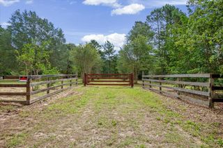 TBD Lot 1 County Road 302, Plantersville, TX 77363