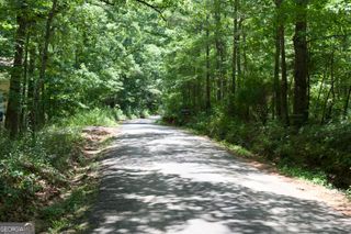 0 Jones Road, Milner, GA 30257