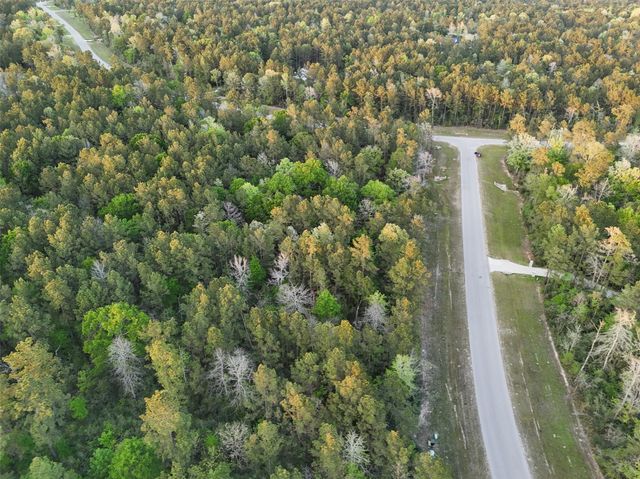 15537 Red Hawk Road, Willis, TX 77373