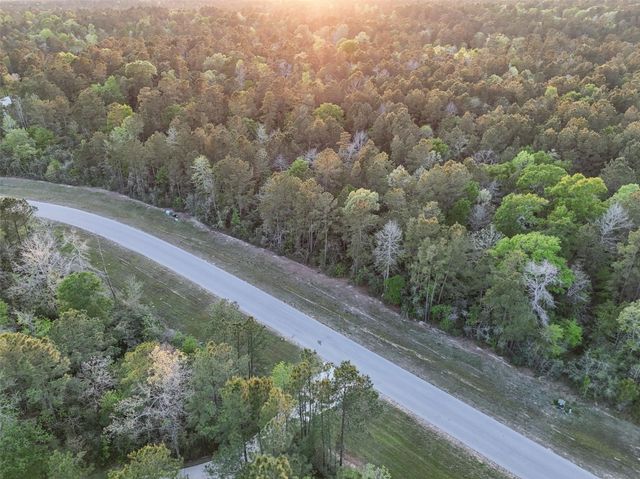 15537 Red Hawk Road, Willis, TX 77373