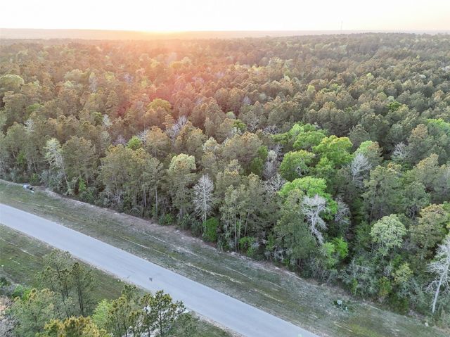 15537 Red Hawk Road, Willis, TX 77373