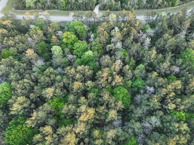 15537 Red Hawk Road, Willis, TX 77373