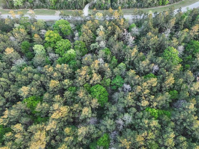 15537 Red Hawk Road, Willis, TX 77373