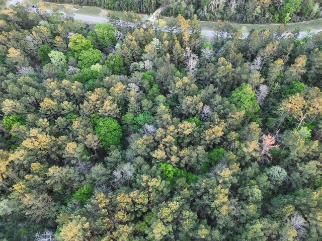 15537 Red Hawk Road, Willis, TX 77373