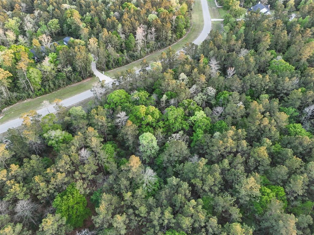 15537 Red Hawk Road, Willis, TX 77373