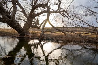 1310 4 mile Road, Chickasha, OK 73018