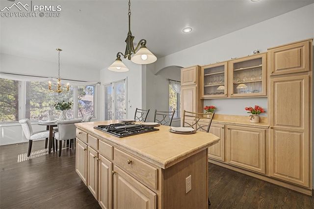 1380 Old Antlers Way, Monument, CO 80132