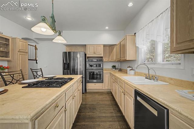 1380 Old Antlers Way, Monument, CO 80132