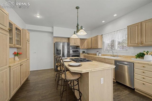 1380 Old Antlers Way, Monument, CO 80132