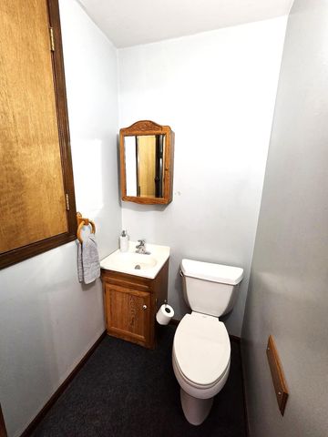 710 Madison Street, Bellevue, MI 49021