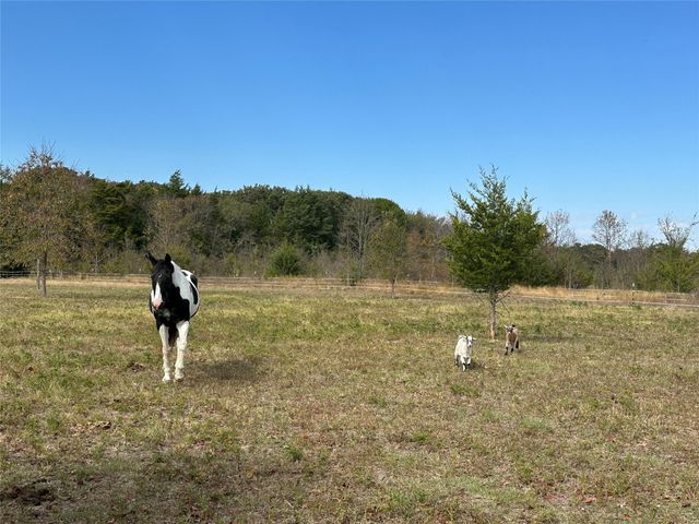 2430 County Road 2265, Telephone, TX 75488