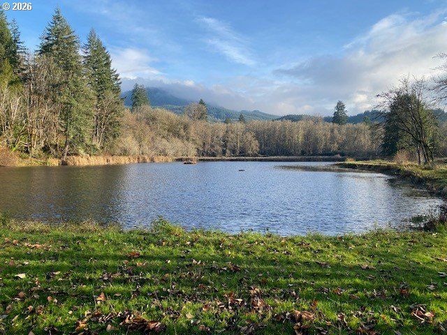 302 MONROE St, Ryderwood, WA 98581