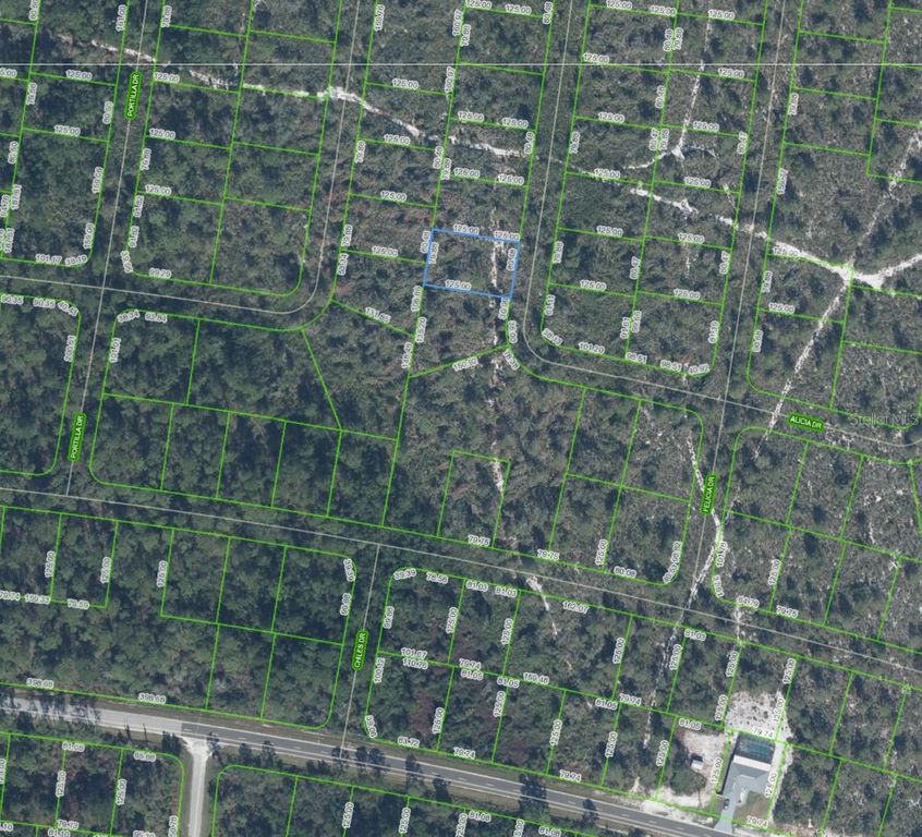 6464 ALICIA DRIVE, Sebring, FL 33872