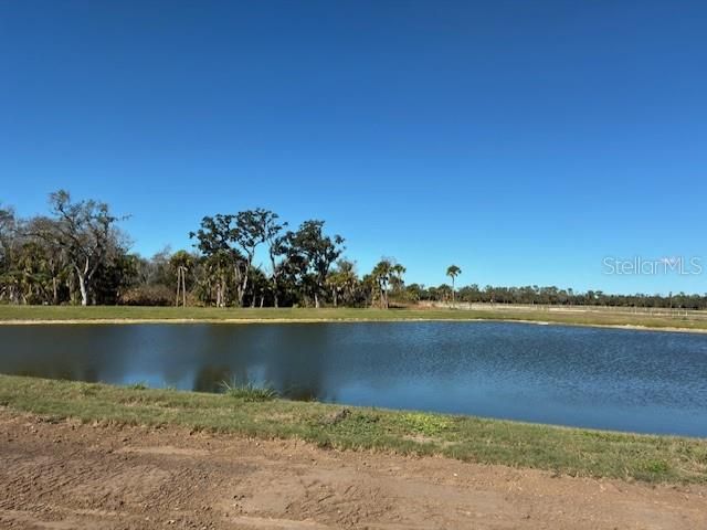 10164 HIDDEN HAMMOCK LOOP, Parrish, FL 34219