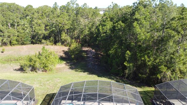 344 ORANGE COSMOS BOULEVARD, Davenport, FL 33837