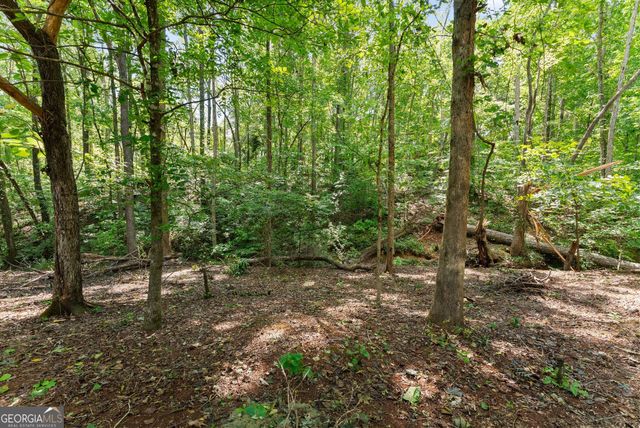 202 Old Lake Lane, Dawsonville, GA 30534
