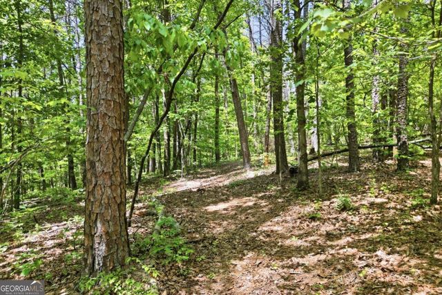 1709 Harrington Road, Ball Ground, GA 30107