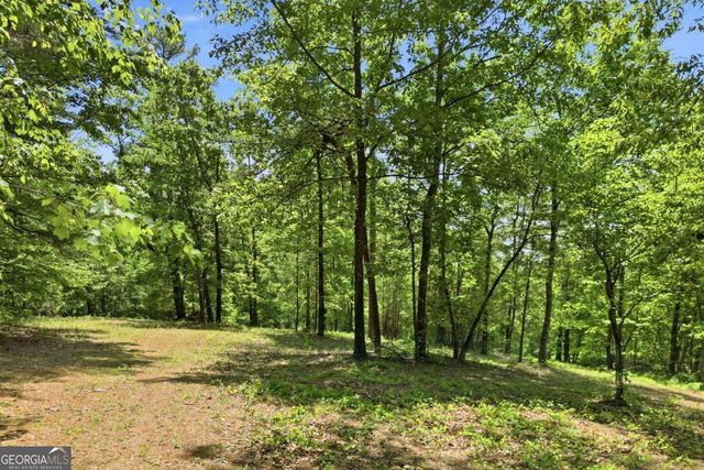 1709 Harrington Road, Ball Ground, GA 30107