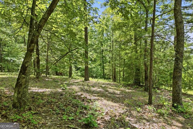 1709 Harrington Road, Ball Ground, GA 30107