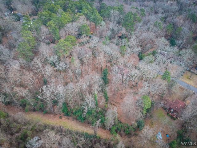 18 Beech Hills, Tuscaloosa, AL 35404