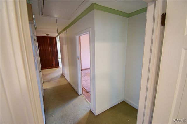 18 Beech Hills, Tuscaloosa, AL 35404