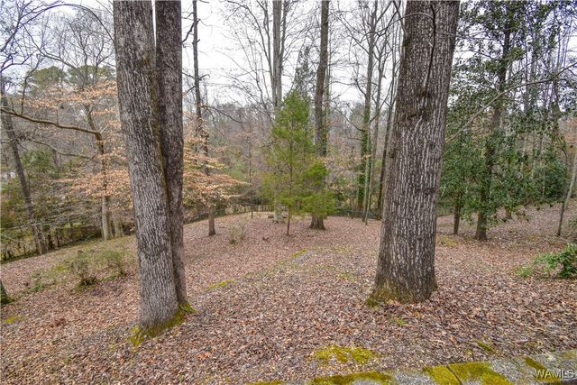 18 Beech Hills, Tuscaloosa, AL 35404