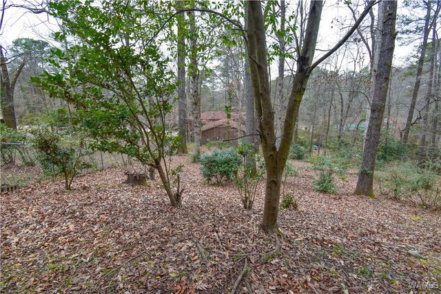 18 Beech Hills, Tuscaloosa, AL 35404