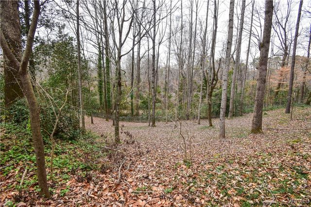 18 Beech Hills, Tuscaloosa, AL 35404