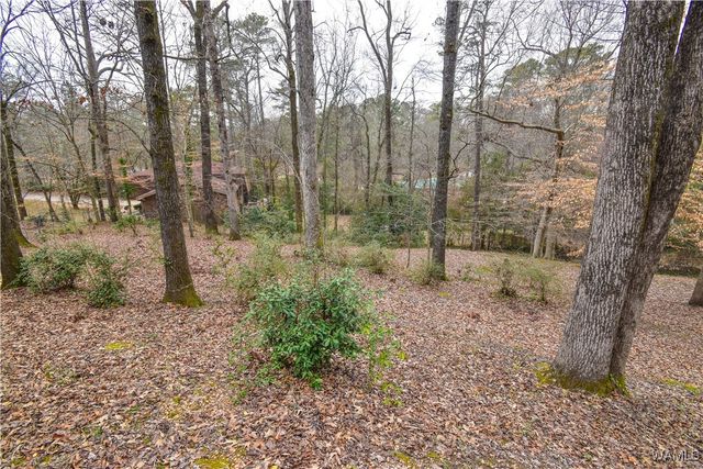 18 Beech Hills, Tuscaloosa, AL 35404