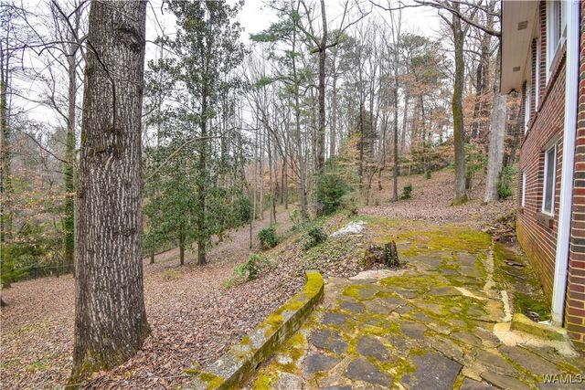 18 Beech Hills, Tuscaloosa, AL 35404