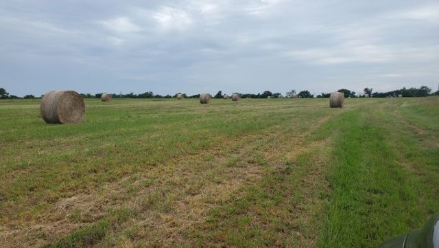1203 County Road 4132, Cumby, TX 75433