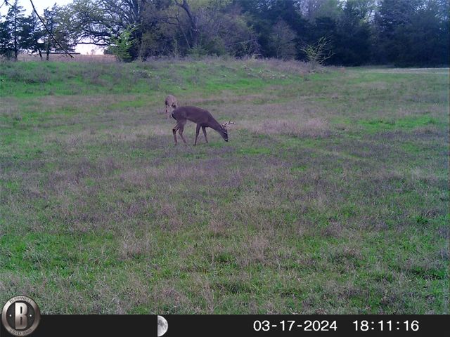 1203 County Road 4132, Cumby, TX 75433